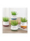 Viosarp Artificial Plant in Small Pot 1pcs