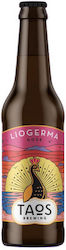 Brauen Liogerma Gose Light Mikrobrauerei 0,33 Lt Brauen Liogerma Gose Light Mikrobrauerei 0,33 Lt
