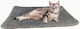 Vesta Kopfkissen Katze Gray