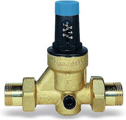 Watts Pressure Pipe Regulator 4205997890004