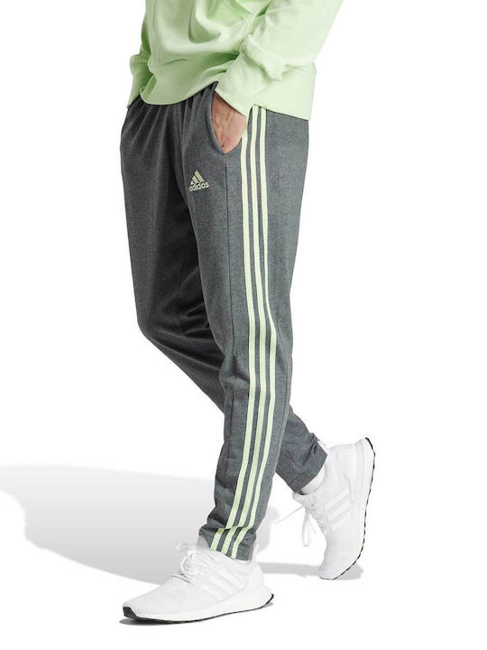 Adidas Παντελόνι Φόρμας Γκρι
