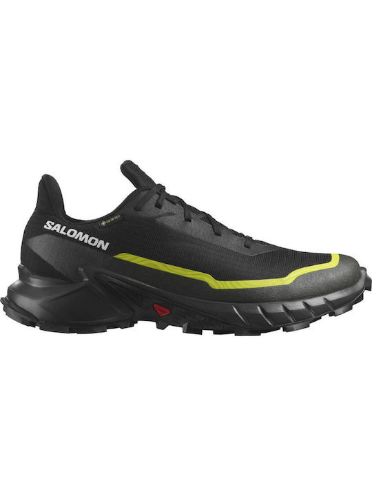 Salomon Alphacross 5 Ανδρικά Αθλητικά Παπούτσια Trail Running Αδιάβροχα με Μεμβράνη Gore-Tex Black Peat / Sulphur / Spring