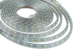 Ταινία Led 24505060wpc 5m 14,4w/m 12mm 24v Dc 6000k Ψυχρός Φωτισμός Ταινία Led 24505060wpc 5m 14,4w/m 12mm 24v Dc 6000k Ψυχρός Φωτισμός