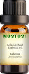 Nostos Pure Essential Oil Lemon 5ml