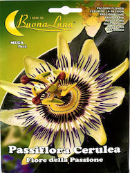 Primasem Seeds Passiflora