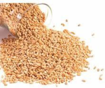 HealthTrade Organic Seeds Wheat Whole Grain 1000gr
