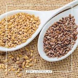 HealthTrade Organic Linseed 1000gr