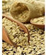HealthTrade Bio Fulgi Mei 1000gr
