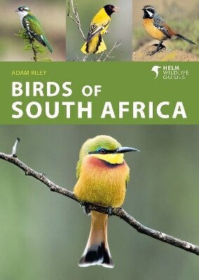 Birds Of South Africa Adam Riley 0110