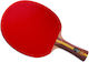 DHS Ρακέτα Ping Pong
