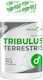 6Pak Nutrition Tribulus Terrestris Supliment pentru Libidou și Creșterea Testosteronului 90 Capsule