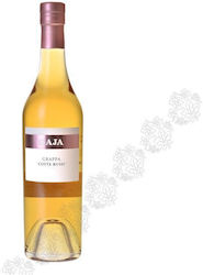 Gaja Gaja