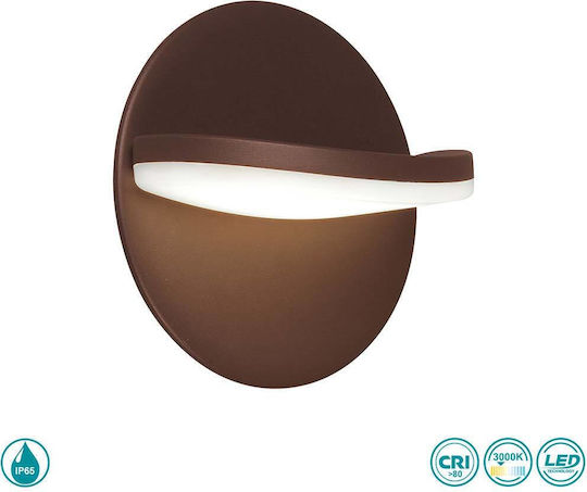 Viokef Modern Lumină de Perete Maro 183cm