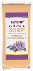 Lumea Glasuri Fondant 1000gr Portocalii