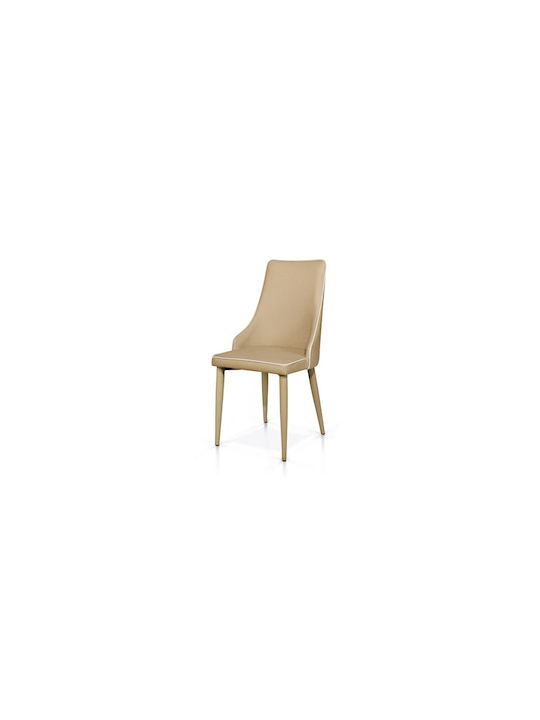 Stühle Speisesaal Beige 1Stück 45x42x95cm