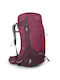 Osprey Sirrus 36l Σακίδιο Ορειβασίας Elderberry Purple/chiru Tan - Elderberry Purple/chiru Tan