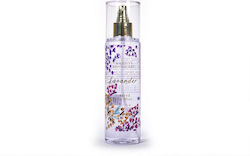 Body Mist Tri-coastal 230ml Lavander Body Mist Tri-coastal 230ml Lavander
