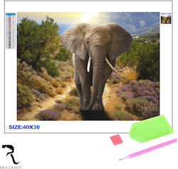 Pânză Diamond Painting Kit