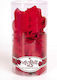 Rose Petals Silk Ροδοπέταλα Μετάξι Ερωτικό Σετ Από Ροδοπέταλα