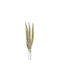 Kaemingk Artificial Decorative Branch Pampas Grass 1pcs