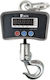 Constant Electronic Professional Hanging Scale with Weighing Capacity of 500kg and Division 200gr