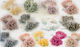 Stamens seeds 6cm 350pcs 0516062 (lilac)