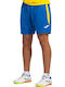 Sport Herren Shorts Blau