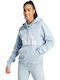 Essentials Damen Sweatshirt Kapuzen Hellblau
