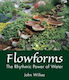Flowforms The Rhythmic Power Of Water John Wilkes