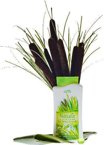 Joanna Naturia Shampoo For Hair Calamus 2-in-1 500 ml
