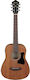 Ibanez Ακουστική Κιθάρα