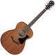 Ibanez Akustisch Gitarre Natürlich / Offene Pore