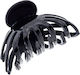 Clammer Plastic Perforated Spider In 6 Colors-b...