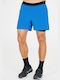 Endurance Herrenshorts Blau