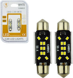 Auto Gs Lamps C5W LED White 2pcs