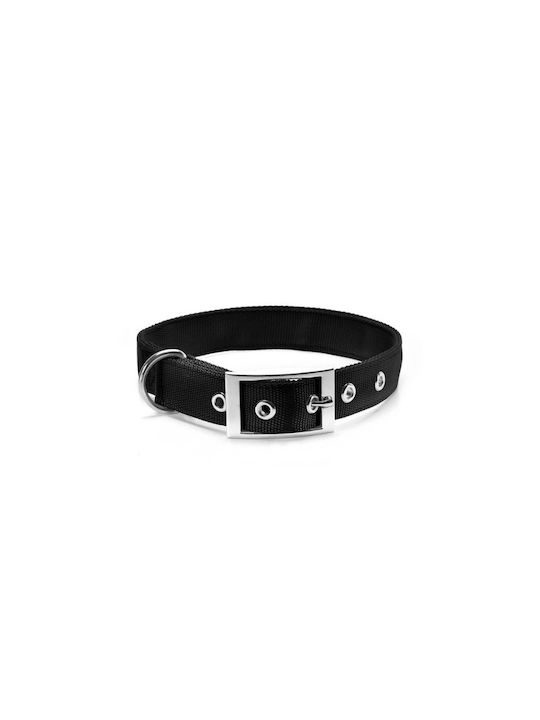 Record Dog Collar in Black color