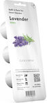 Click and Grow Seeds Lavenderς 3pcs