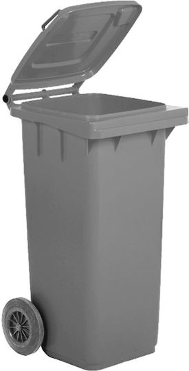 Ready Plastic Coș de gunoi Deșeuri Coșuri de gunoi cu roți 120lt Gri