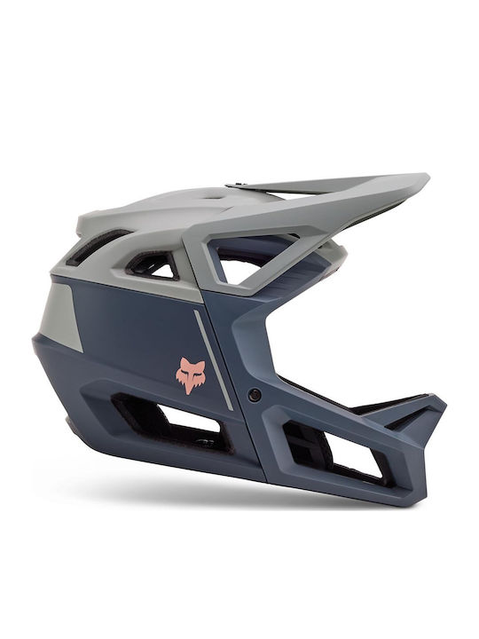 Fox Proframe Volles Gesicht Fahrradhelm Berg / Straße / Abfahrtslauf mit MIPS Schutz Gray