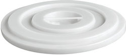 Ready Container Lid Ready Container Lid