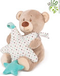 Amek Toys Plush Bear