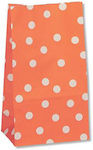 Orange Pouch (24x13x8cm)