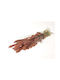 Getrocknete Pflanze Rosa HBX DECO B.V.