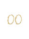 Pilgrim Earrings Hoops Gold Plated