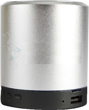T-2020 Bluetooth Speaker 5W with Radio and Battery Life up to 4 hours Silver
