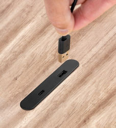 Emuca Πρίζα με 2 Θύρες USB