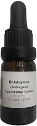 Collagen Essential Oil 10 Ml