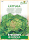 Gemma Seeds Lettuce 1.5gr