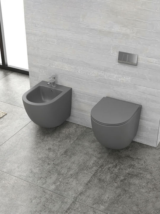 Karag Plastic Toilet Seat Gray