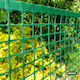 101956 Plasă de Balustradă Verde